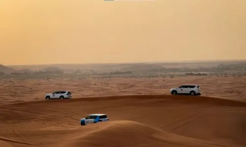 Evening Desert Safari Tours