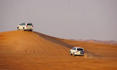 Morning Desert Safari in Dubai